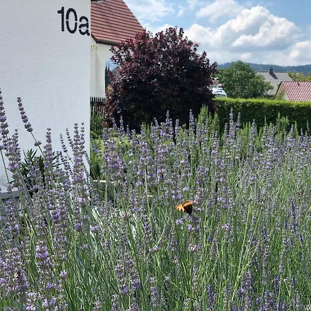 Haus Am Berg Tatil Evi *